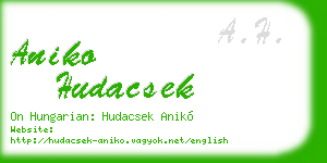 aniko hudacsek business card